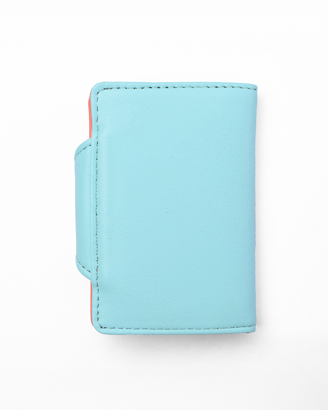 Limpit Shell & Living Coral 3