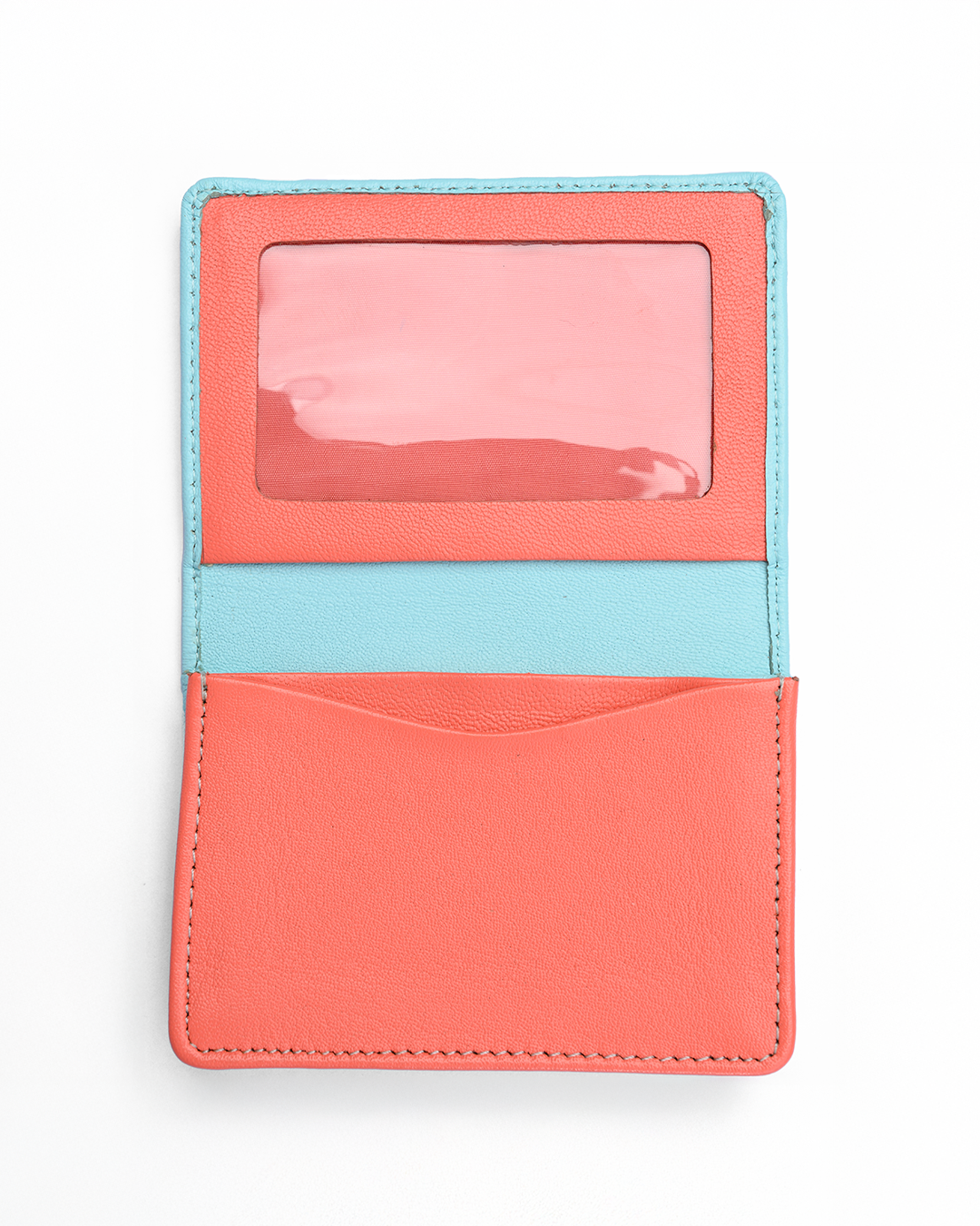 Limpit Shell & Living Coral 4