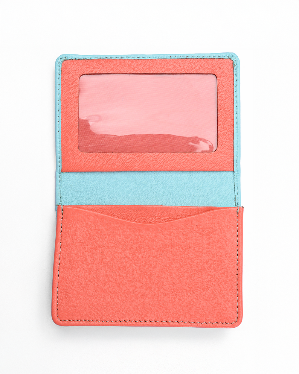 Limpit Shell & Living Coral 4