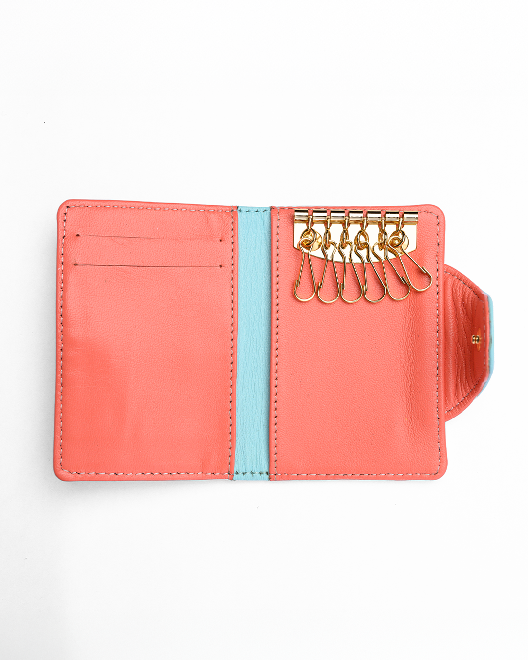 Limpit Shell & Living Coral 4