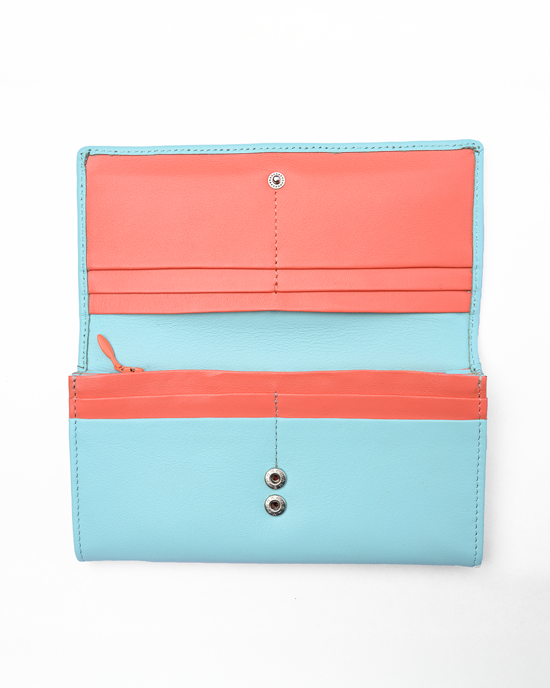 Limpit Shell & Living Coral 4