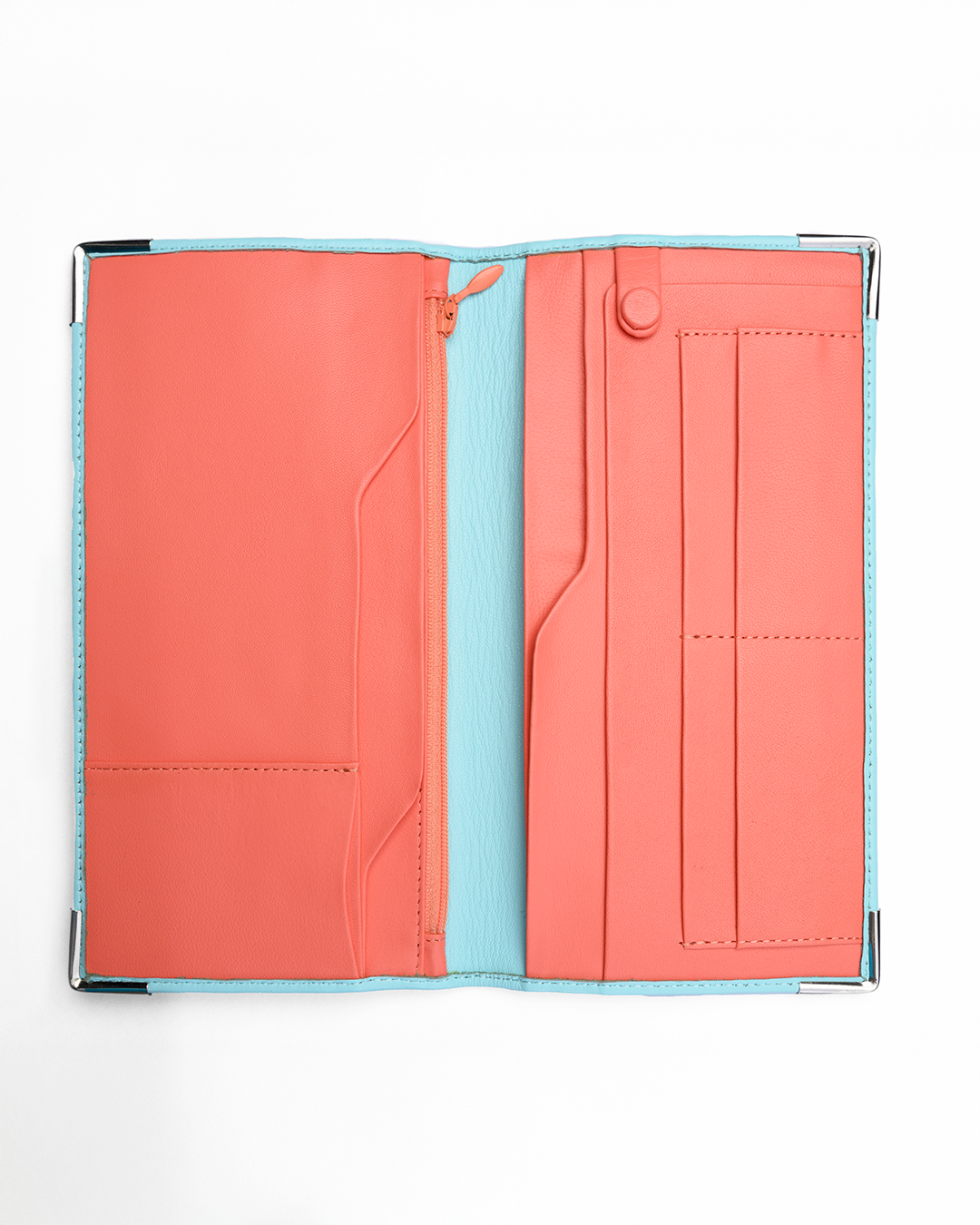 Limpit Shell & Living Coral 4